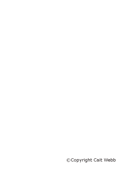 This image is copyright