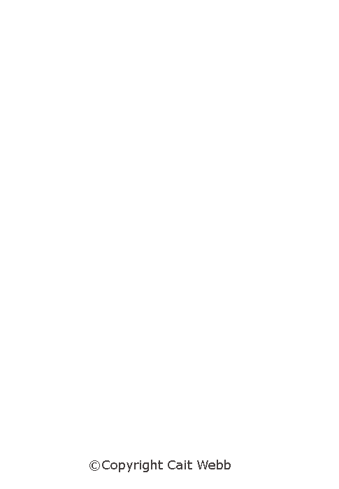 This image is copyright