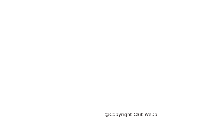 This image is copyright