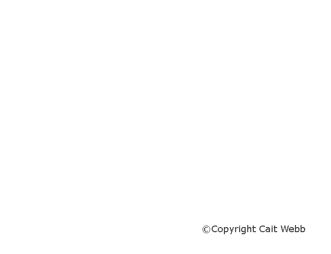 This image is copyright