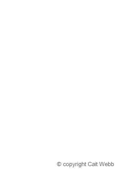 This image is copyright