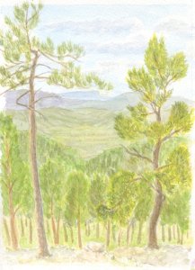 Les Treilles